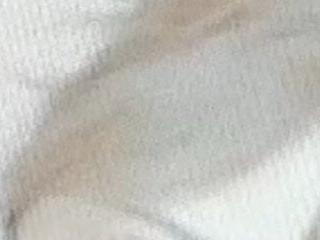 -nyanko-