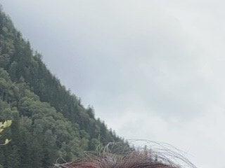aier x