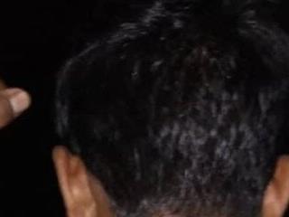 Bengali BULL1