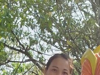 bes53