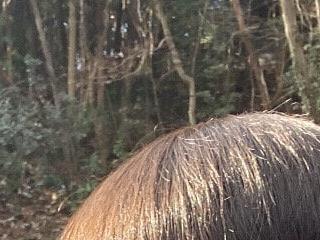 ccgkyokucho