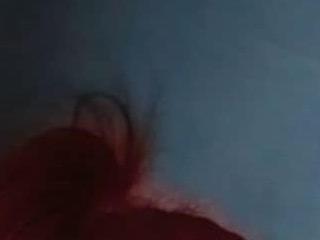 Cockyliciousx