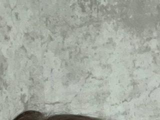 CutieAnny