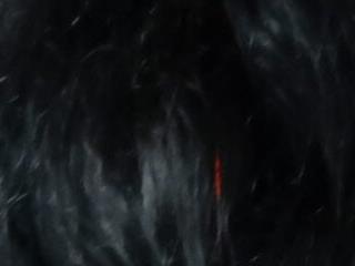 dhina79