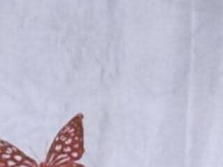 Exotichotpeanut-pinay
