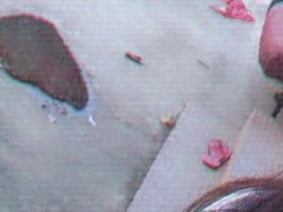 eye spyy