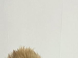 FuckFrancis21