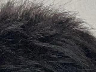 gghx666