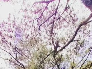 goddessoflove2025