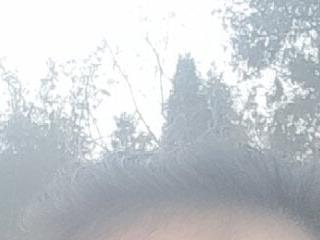 hanic22