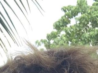 hardcock1069