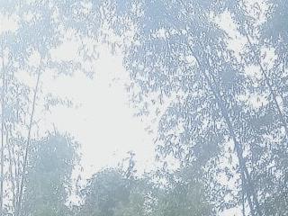 Lvtlh
