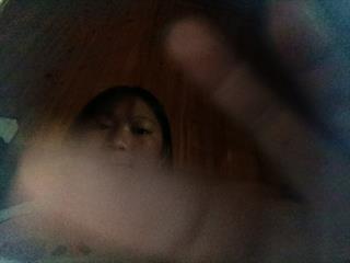 Meo x