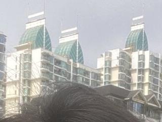 nianxiaohua886
