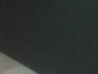 pampo29