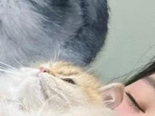 peachy kiss