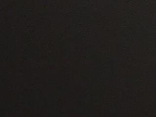 ppmai