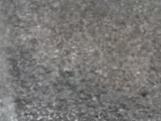 sangita250