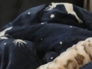SexyNikky668