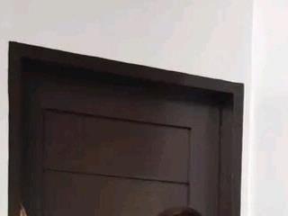 sexyts69xx