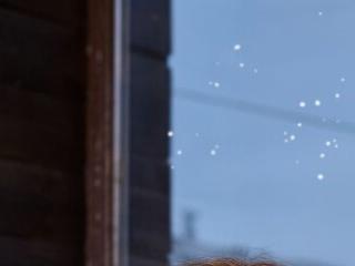 SnowNut