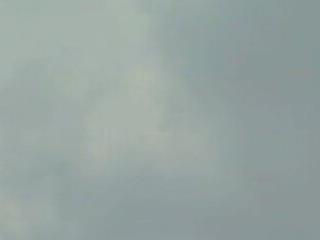 thienlong05