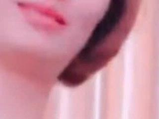 Tinamy