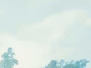 TransxJia