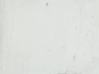 Wild Yumico